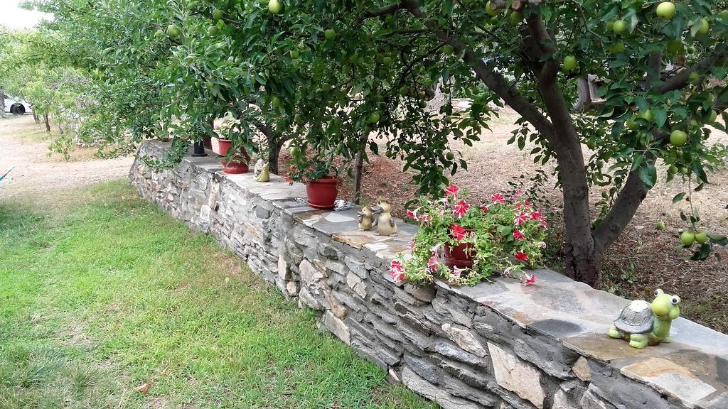 Studios Elianthos Skála Kallirákhis Dış mekan fotoğraf